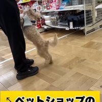 「やっと卒業できるよ！」