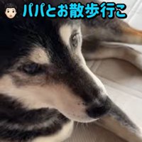 散歩に誘うパパ