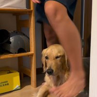 長男くんはまたいで玄関へ