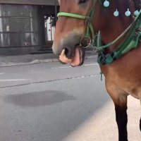 久しぶりに再会すると…