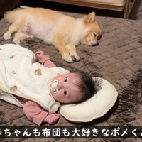 ポメくんの方が熟睡