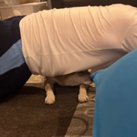 筋トレ中のお兄ちゃんとこじろー君3