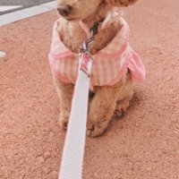 衝撃の姿に…！！