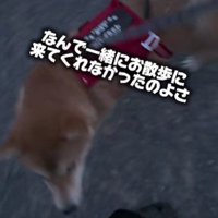 「もっと早く来てよ～」