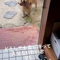 「どうしてもダメ…？」