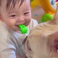 しろちゃんが来た♡