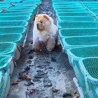 「いったん戻って！」