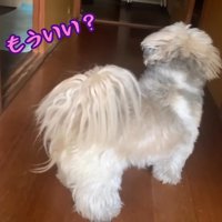 てんぽさんの熱烈歓迎7