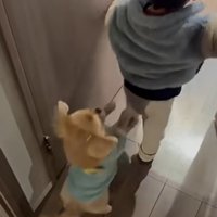 駆け寄るハナちゃん