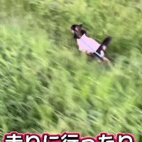 外遊びも大好き