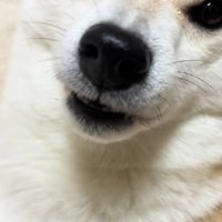 歯磨きを終えた大五郎くん