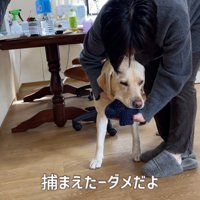 捕まえました♪
