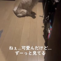 「気になる…」