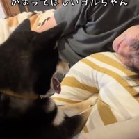 「おーきーてー！！」