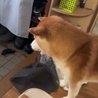 哀愁漂う後ろ姿