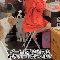 作業中のお姉ちゃんとアグちゃん5