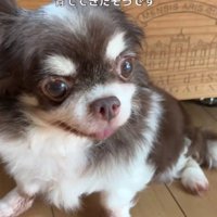 おじいちゃんと2人暮らしに…