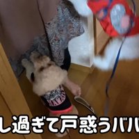 愛情表現が激しすぎる！