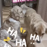 無事、通過に成功