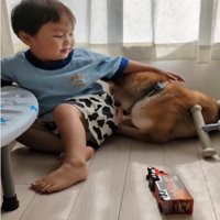 犬をなでる男の子1