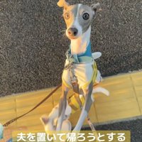 ママに訴えるうみちゃん%ママが帰ろうとすると…