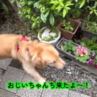 お家に遊びに来たら…