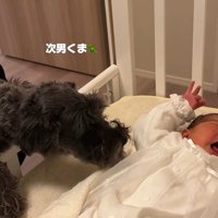 くま君も興味津々！