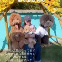 ブランコに座る女性と犬たち