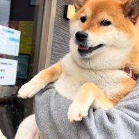 病院に到着したあーちゃん