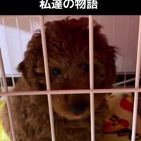 この写真からすべてが始まった…