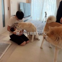 幸ちゃんは大張り切り♪