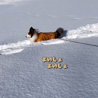 楽しそうなさつまくん