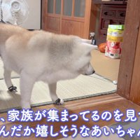 家族団らんが大好き