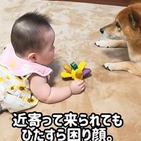 戸惑うロック君