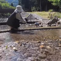自然の中を散策