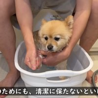 頑張っていて偉い！