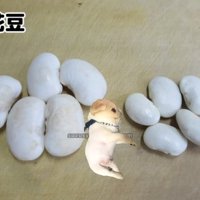 豆