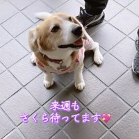 「絶対きてよねっ」