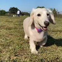 2階に隔離されていたそう