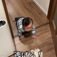 赤ちゃんを守る小太郎くん⑩