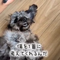 幸せを掴んだオレオくん6