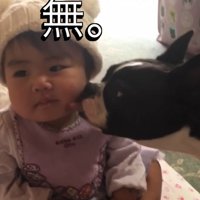 顔を逸らす赤ちゃんの頬を舐める犬