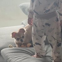 男の子はテレビに夢中でスルー