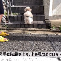 お友達を待ち伏せ中