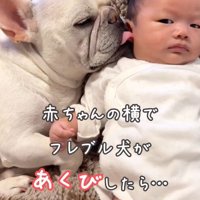 お耳をペロペロ♪