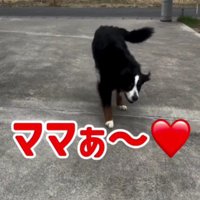 「ママ〜！」
