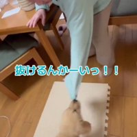 「抜けた～！！」