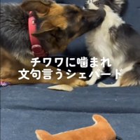 レオくんは拒絶