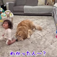 くつろぎタイムに戻った
