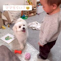 リリちゃんと赤ちゃん7